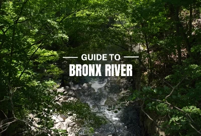 Bronx River, Things to do in Bronx