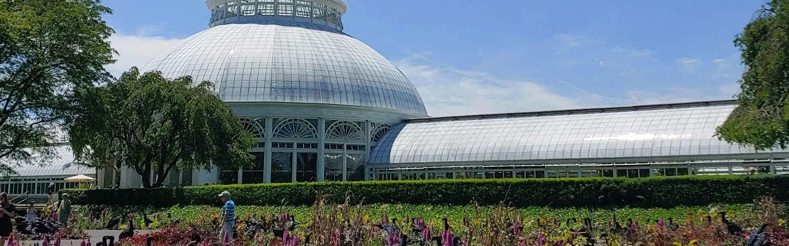 The Top 10 Must-Visit Attractions in the Bronx