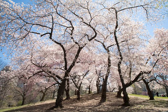 Tour image 8