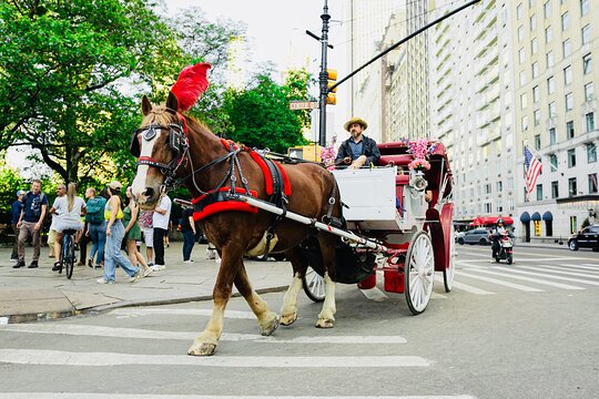 Tour image 1