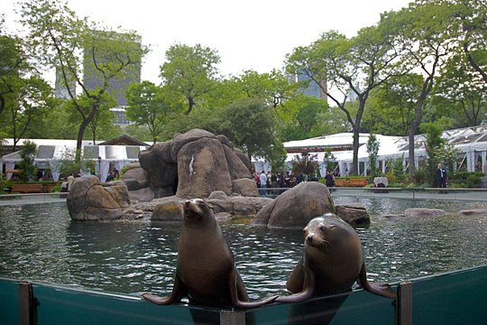 Tour image 5